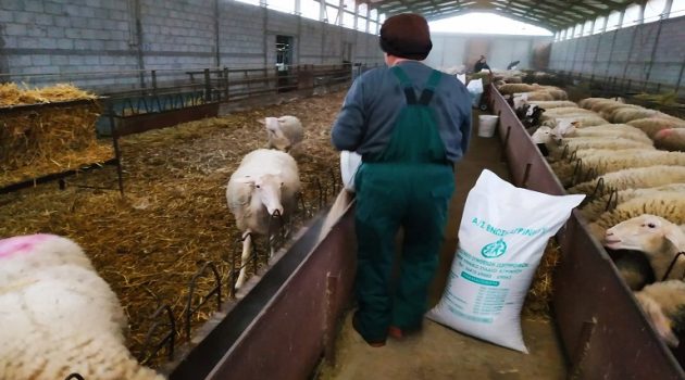 Ένωση Αγρινίου: Συνεχίζονται οι αιτήσεις για τις ζωοτροφές