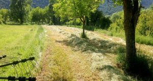 Βιωσιμότητα στη γεωργία: Ευρωπαϊκή διαβούλευση για τις «κατευθυντήριες γραμμές»