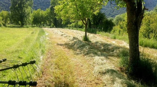 Βιωσιμότητα στη γεωργία: Ευρωπαϊκή διαβούλευση για τις «κατευθυντήριες γραμμές»
