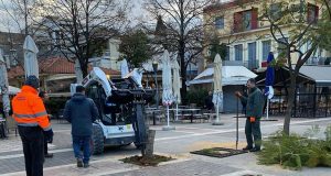 Αγρίνιο: Νέα δέντρα στην Κεντρική Πλατεία – Γιατί κόπηκαν δέκα…
