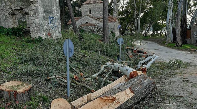 Βόνιτσα: «Πετσόκοψαν τα δένδρα δίπλα στο Κάστρο», κατεγγέλει κάτοικος
