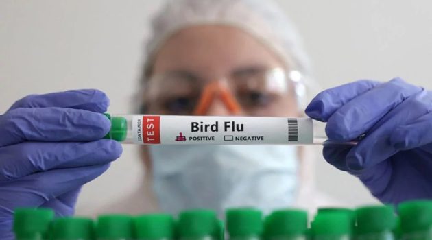 Γρίπη των πτηνών: «Ανησυχία» στον Π.Ο.Υ. μετά τα κρούσματα σε ανθρώπους