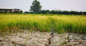 Κατώτερη των προσδοκιών η «Παγκόσμια Συμμαχία για την Κλιματική Αλλαγή»