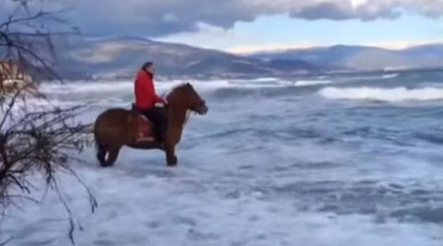 Το άλογο και ο αναβάτης δαμάζουν τα κύματα στον Πλατανίτη (Video)