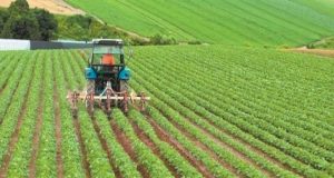 Παράταση προθεσμίας υποβολής στοιχείων συμβάσεων συμβολαιακής γεωργίας