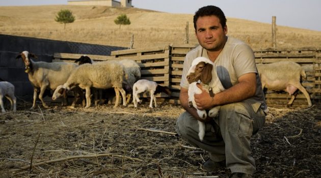 2η Πρόσκληση του Μέτρου 22 για την ενίσχυση της κτηνοτροφίας με 4,1 εκ. €