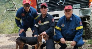Αμβρακιά Θέρμου: Διάσωση σκύλου από το Πυροσβεστικό Κλιμάκιο – Είχε…