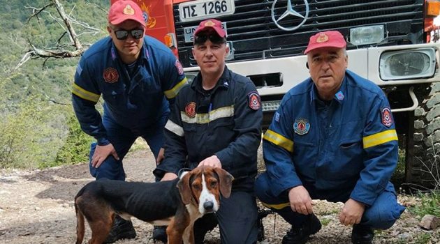 Αμβρακιά Θέρμου: Διάσωση σκύλου από το Πυροσβεστικό Κλιμάκιο – Είχε εγκλωβιστεί σε φαράγγι