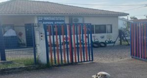 Αγρίνιο: Αδέσποτα έξω από Νηπιαγωγείο – «Φοβούνται τα παιδιά να…