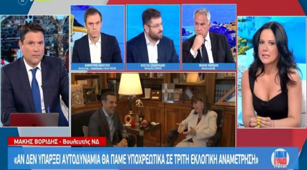 Μάκης Βορίδης: «Αν η Νέα Δημοκρατία δε πάρει αυτοδυναμία, θα πάμε σε τρίτες κάλπες» (Video)