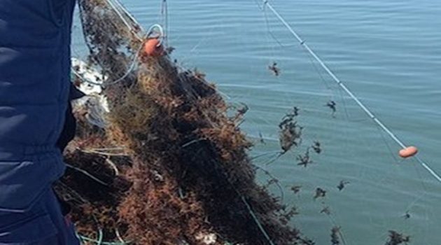 Κατασχέθηκαν παράνομα δίχτυα Λιμεναρχείο Ι.Π. Μεσολογγίου στη Λιμνοθάλασσα Αιτωλικού