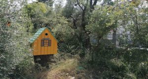 Πάρκο Αγρινίου: Εικόνες βγαλμένες από παραμύθι – Με «άρωμα»… μαγείας…