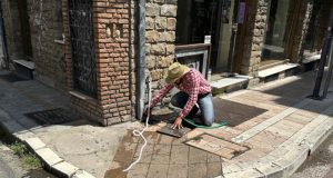 Αγρίνιο: Φίδι εθεάθη στο κέντρο – Προσπάθειες για τον εντοπισμό…