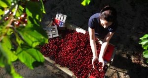 Πρόγραμμα Συνεργασία: Η διαδικασία πληρωμής – Εγκύκλιος του Ο.Π.Ε.Κ.Ε.Π.Ε.