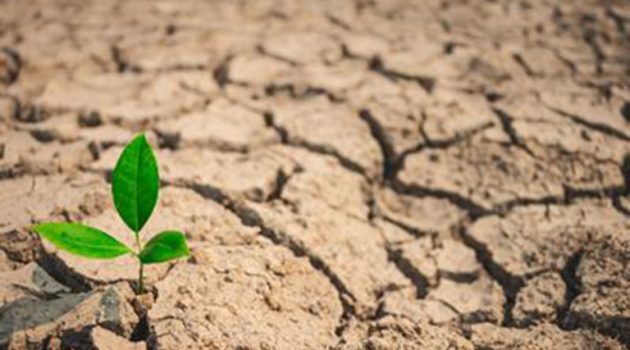 ΥΠ.Α.Α.Τ.: Σύσταση ad hoc Ομάδας εργασίας για τον κίνδυνο της ξηρασίας στον αγροτικό τομέα