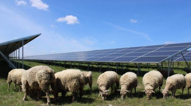 Ασφάλιση αγροτών με φωτοβολταϊκά έως 500 kW