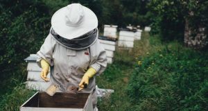 Λευτέρης Αυγενάκης: «Γνωρίζω τα προβλήματα των Μελισσοκόμων»
