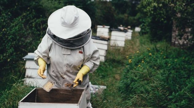 Λευτέρης Αυγενάκης: «Γνωρίζω τα προβλήματα των Μελισσοκόμων»