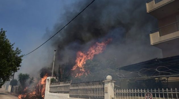 Live – Φωτιά στον Κουβαρά: Εκκενώνουν από Λαγονήσι προς Αθήνα, καίγονται σπίτια