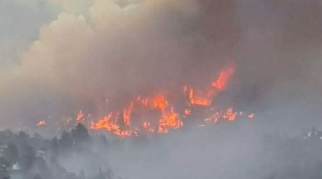 Μεγάλη φωτιά ξέσπασε στην Ισπανία σε δασική έκταση στο νησί Λα Πάλμα (Video)