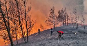 Ανεξέλεγκτη η φωτιά στη Ρόδο: Εκκενώνονται τρία χωριά και ένα…
