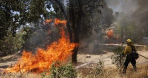 Πολύ υψηλός κίνδυνος πυρκαγιάς το Σάββατο στην Αιτωλοακαρνανία