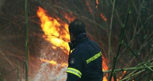 Άρτα: Εκδηλώθηκε πυρκαγιά στην περιοχή Καλαμιά – Δεν απειλείται κατοικημένη…