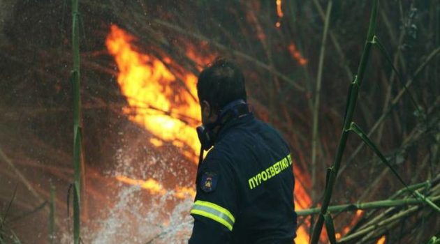 Άρτα: Εκδηλώθηκε πυρκαγιά στην περιοχή Καλαμιά – Δεν απειλείται κατοικημένη περιοχή