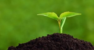Δέσμη μέτρων για βιώσιμη χρήση των φυτών και του εδάφους