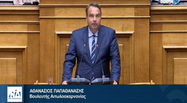 Θ. Παπαθανάσης: «Ισότιμη και ενεργή συμμετοχή στους Απανταχού Έλληνες στην εκλογική διαδικασία» (Video)