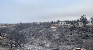 Αποφάσεις του ΕΛ.Γ.Α. για αποζημιώσεις σε πληγέντες παραγωγούς από πυρκαγιές