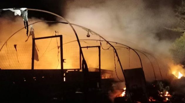 Αγρίνιο: Φωτιά σε ποιμνιοστάσιο στο Παναιτώλιο (Video – Photos)