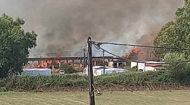 Αγρίνιο: Κινητοποίηση της Πυροσβεστικής για φωτιά κοντά στο Δημοτικό Αθλητικό Κέντρο (Video – Photos)