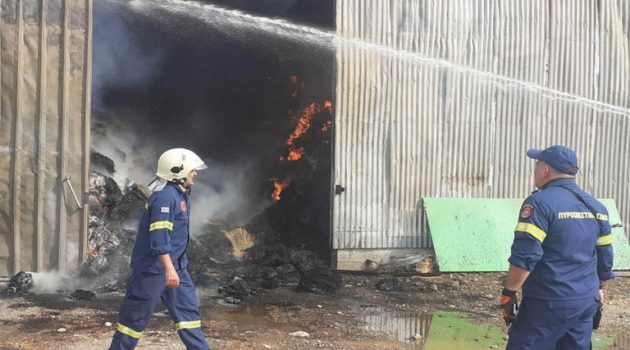 Δήμος Ξηρομέρου: Φωτιά σε ποιμνιοστάσιο στον Κουβαρά – Πρόβατα κάηκαν ζωντανά (Photos)