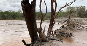 Φονικές πλημμύρες και κατολισθήσεις στη Λ.Δ. Κονγκό – Τουλάχιστον 40…