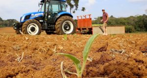 ΠΑΣΟΚ – ΚΙΝΑΛ: Δραματική μείωση του αγροτικού εισοδήματος – 563…