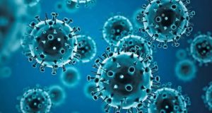 Ερευνητές εντόπισαν για πρώτη φορά αντισώματα που στοχεύουν πολλούς ιούς…