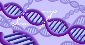 CRISPR 2.0: Μια νέα γενιά γονιδιακών επεξεργαστών δοκιμάζεται σε κλινικές…