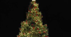 Πλατεία Ι.Π. Μεσολογγίου: Φωταγωγήθηκε το Χριστουγεννιάτικο Δέντρο