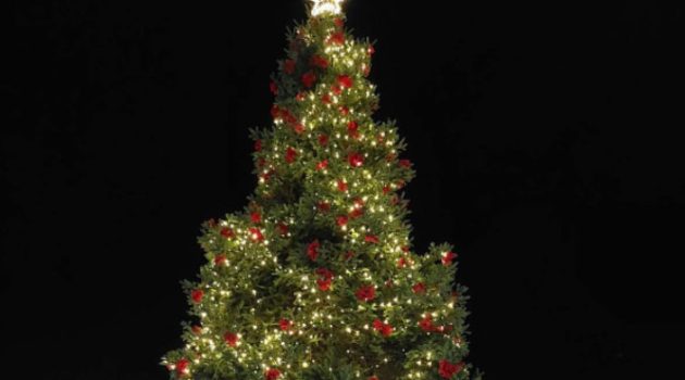 Πλατεία Ι.Π. Μεσολογγίου: Φωταγωγήθηκε το Χριστουγεννιάτικο Δέντρο