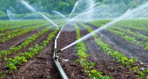 Αγρότες: Παρατείνεται η δράση για «μείωση της ρύπανσης νερού από…