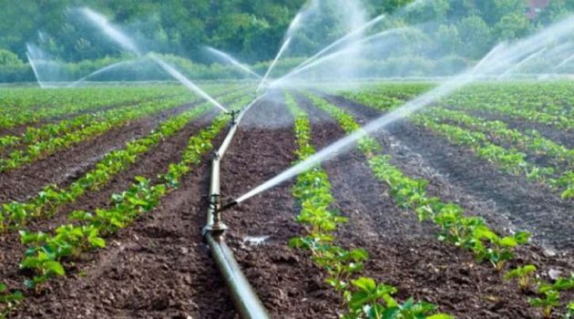 Αγρότες: Παρατείνεται η δράση για «μείωση της ρύπανσης νερού από γεωργική δραστηριότητα»