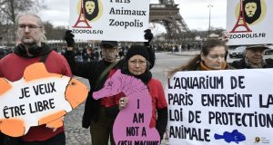 Aκτιβιστές φιλοζωικών οργανώσεων έξω από το Ενυδρείο του Παρισιού ενάντια…