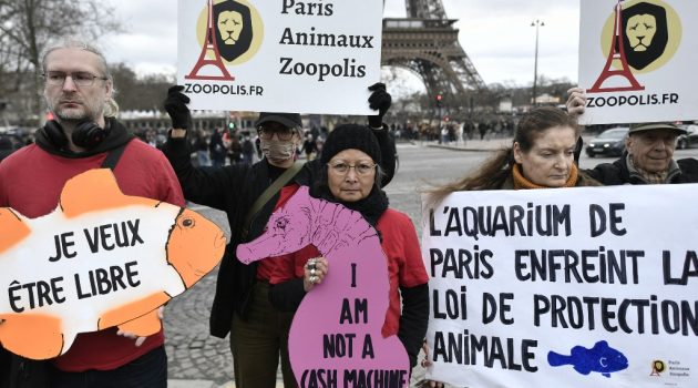 Aκτιβιστές φιλοζωικών οργανώσεων έξω από το Ενυδρείο του Παρισιού ενάντια στο ρεβεγιόν που οργανώνει