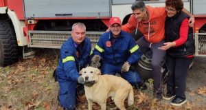 Σκουτερά Αγρινίου: Πυροσβέστες διέσωσαν σκύλο που εγκλωβίστηκε σε γκρεμό (Photos)