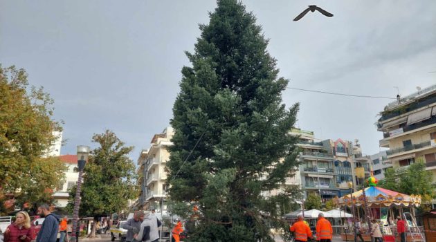 Αγρίνιο: Συνεργεία του Δήμου τοποθετούν το Χριστουγεννιάτικο Δέντρο (Video – Photos)