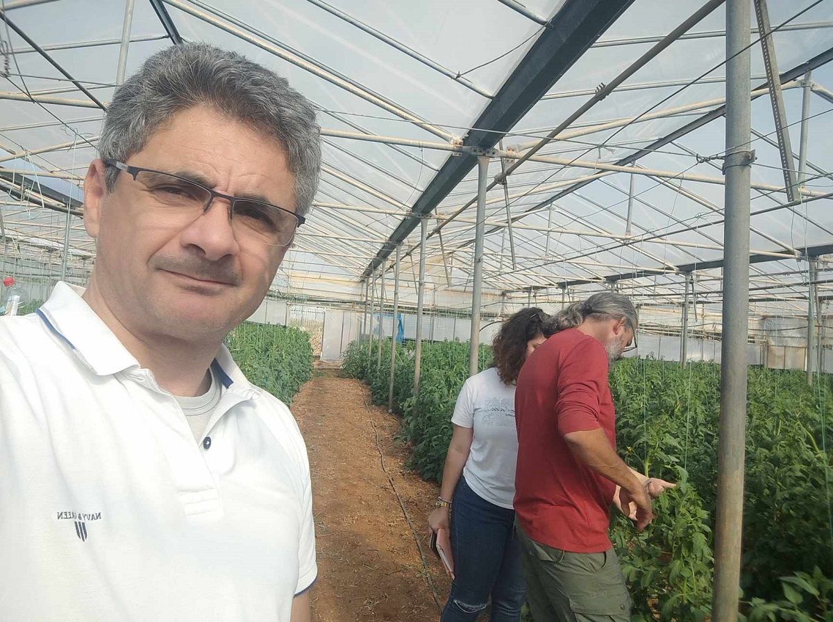 zero tuta roditakis