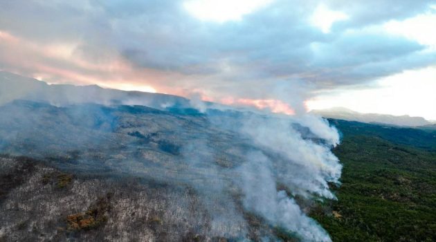 Παταγονία Αργεντινής: Για τρίτη ημέρα μαίνονται οι φλόγες σε εθνικό πάρκο, εμπρησμό καταγγέλλουν οι αρχές