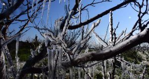 Πρόγνωση καιρού: Ήλιος με «δόντια» – Ισχυρός παγετός και κρύο