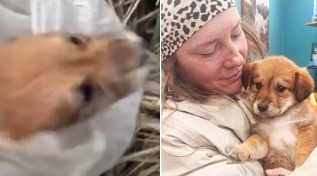 Αιτωλ/νία: Έδεσαν σκυλάκι σε σακούλα για να βρει τραγικό θάνατο – Το έσωσαν Πολωνοί ποδηλάτες (Videos)